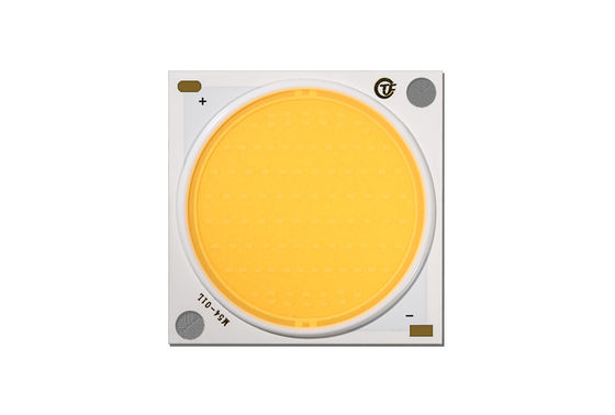 White Emitting Color LED COB Chip Full Spectrum Growing 5W 7W 9W