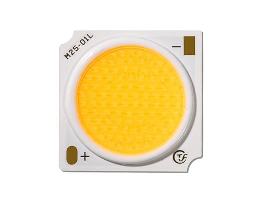 Waterproof Chip LED COB 30W For Color Lighting ANSI Standard