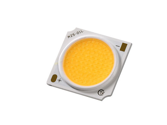Waterproof Chip LED COB 30W For Color Lighting ANSI Standard